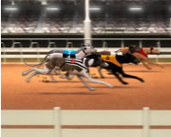 Greyhound racing ügyességi ingyen játék